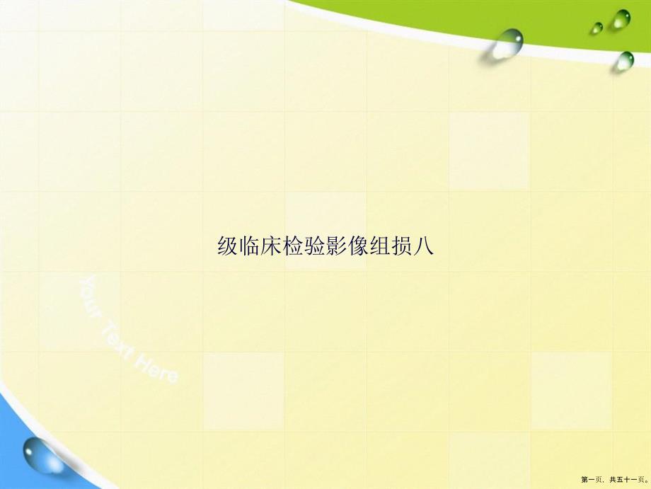 级临床检验影像组损八讲课文档_第1页