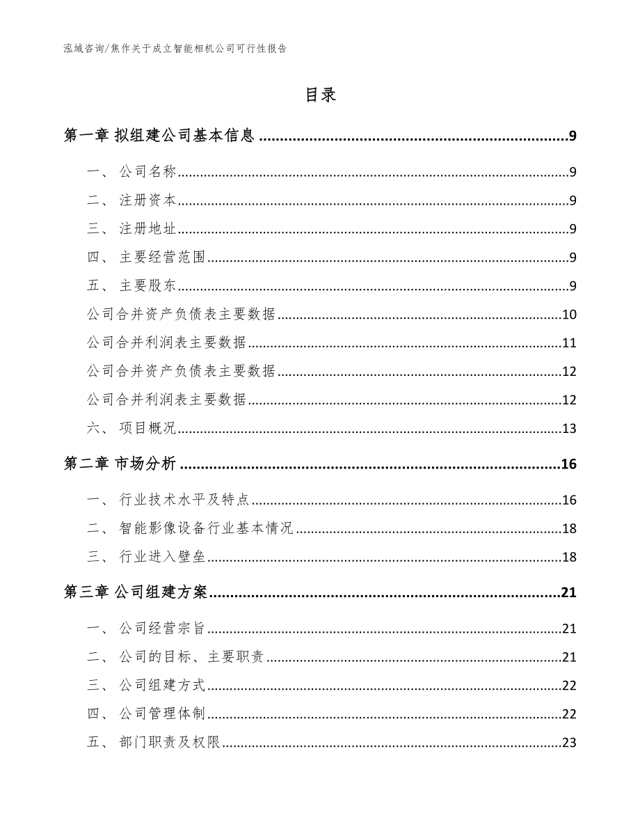 焦作关于成立智能相机公司可行性报告_模板范文_第2页