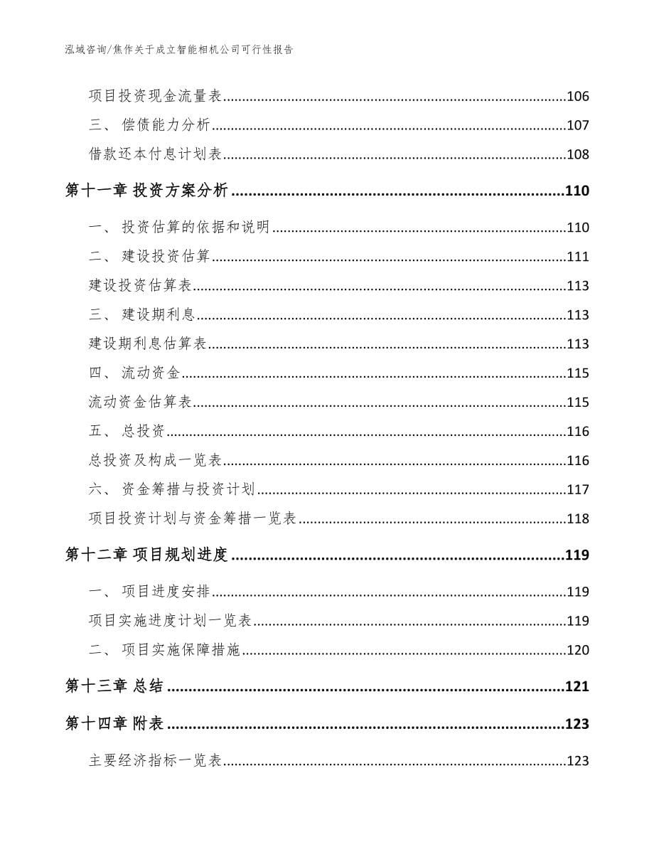 焦作关于成立智能相机公司可行性报告_模板范文_第5页