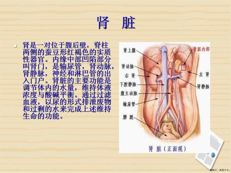 经皮肾镜碎石术的健康教育2讲课文档_第4页