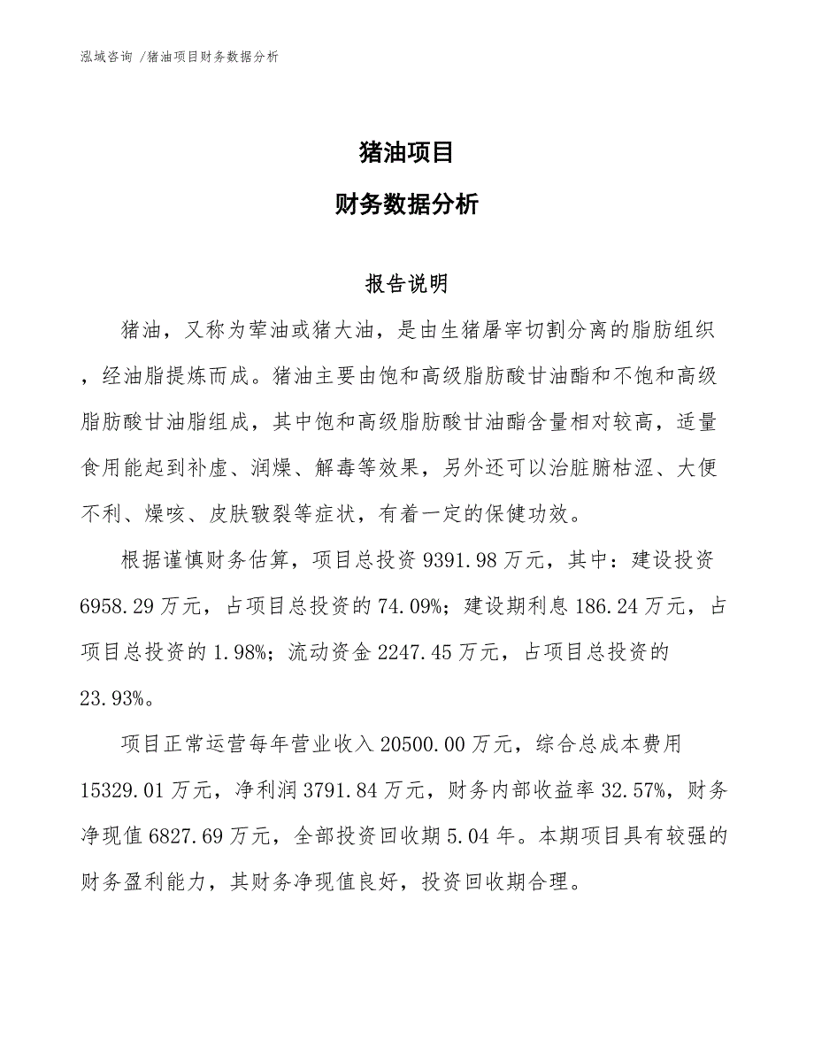 猪油项目财务数据分析（参考模板）_第1页