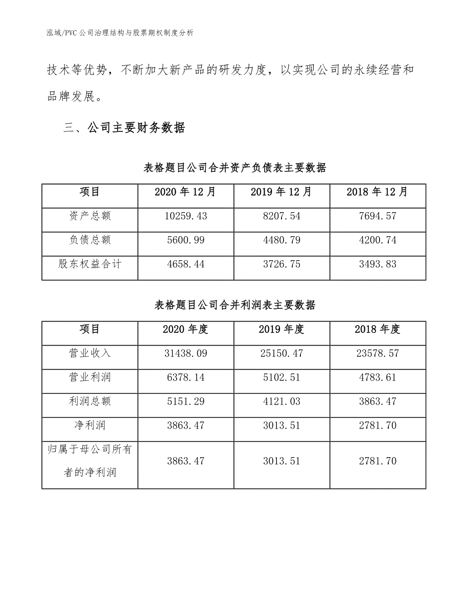 PVC公司治理结构与股票期权制度分析_第4页