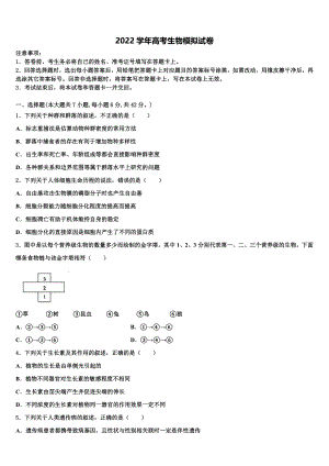 2022届安徽省萧县中学高三下学期一模考试生物试题(含解析）