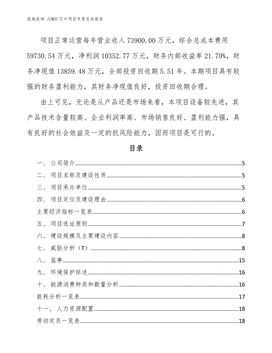 CMOS芯片项目年度总结报告-模板_第2页