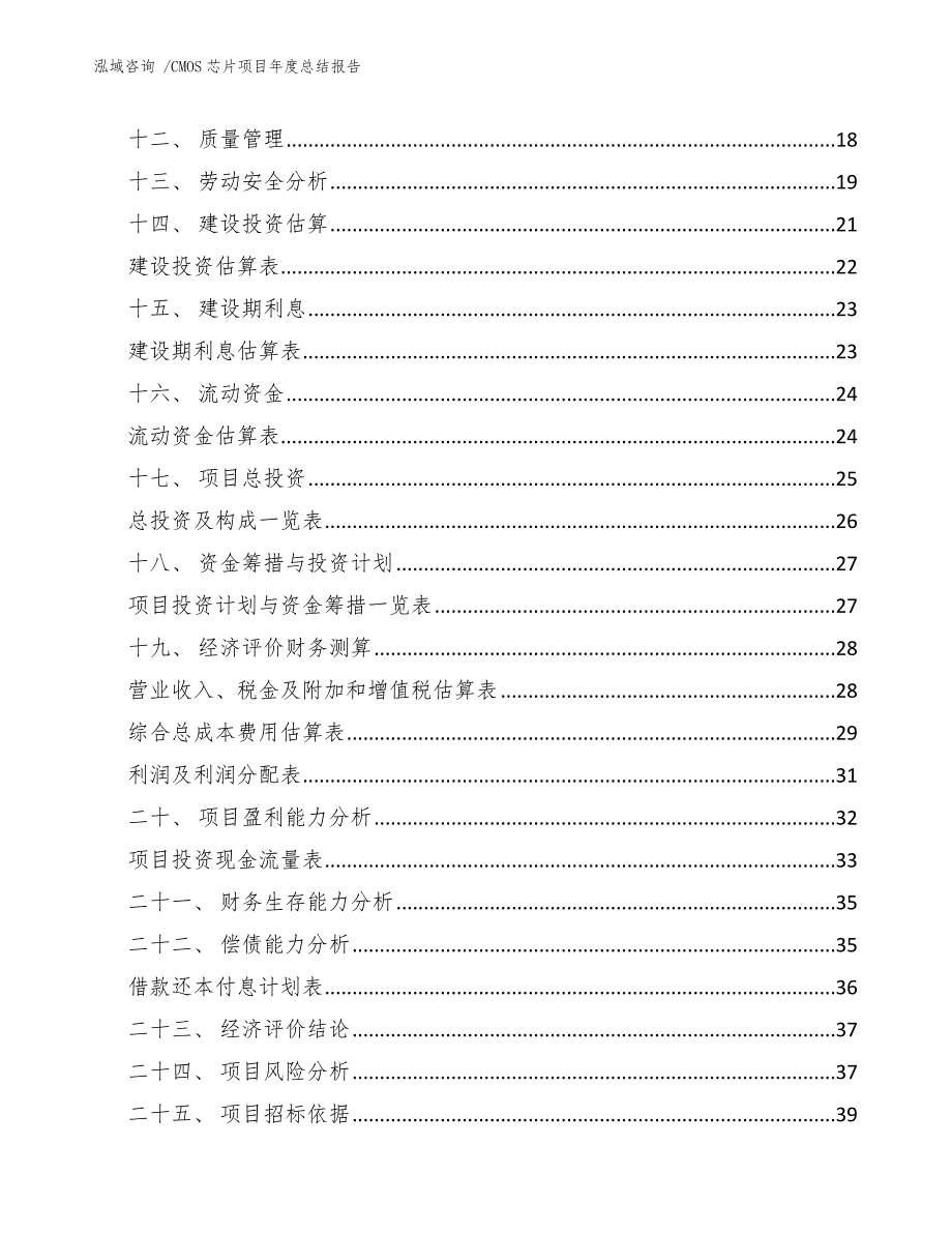 CMOS芯片项目年度总结报告-模板_第3页