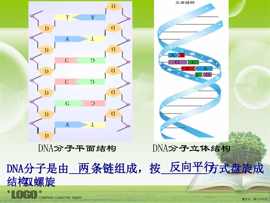 考点的结构和复制讲课文档_第3页