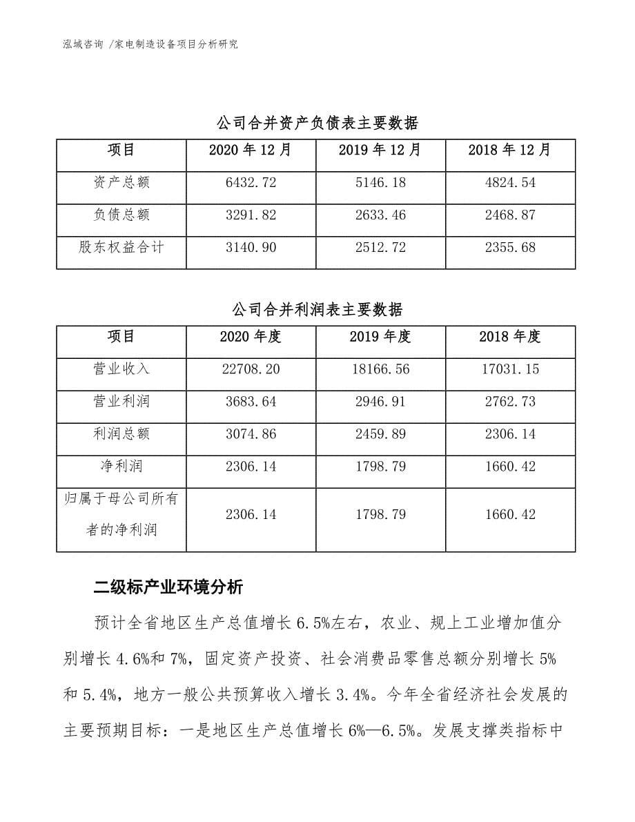 家电制造设备项目分析研究-模板_第5页