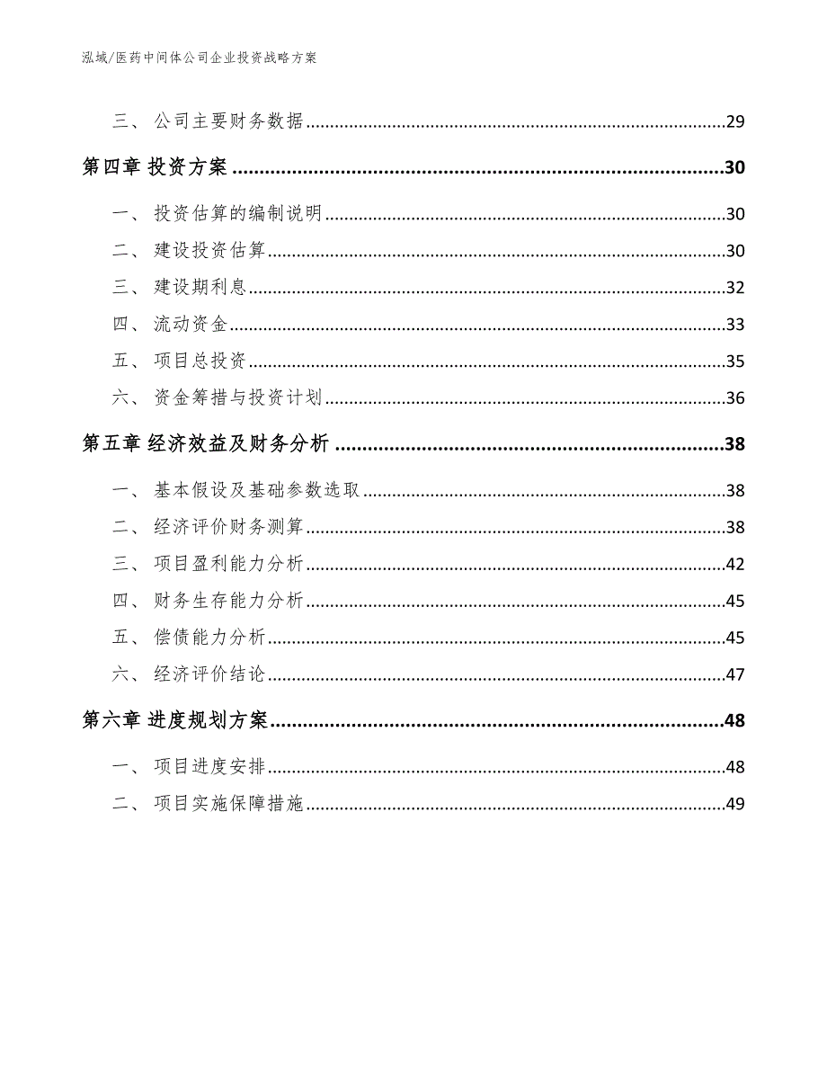 医药中间体公司企业投资战略方案（范文）_第3页