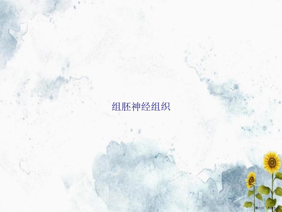 组胚神经组织讲课文档_第1页