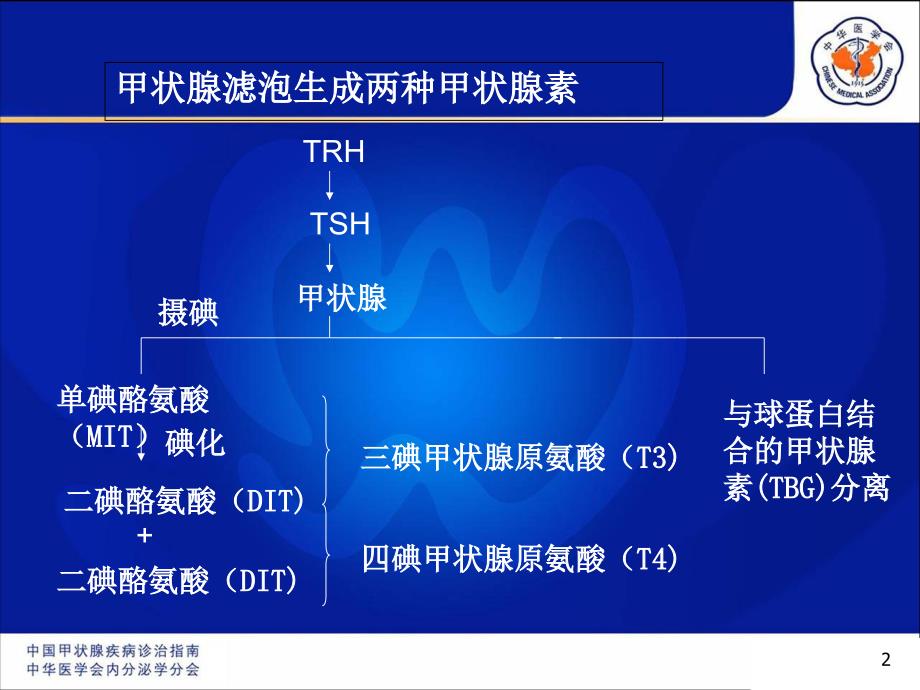 《妊娠合并甲腺疾病》PPT课件_第2页