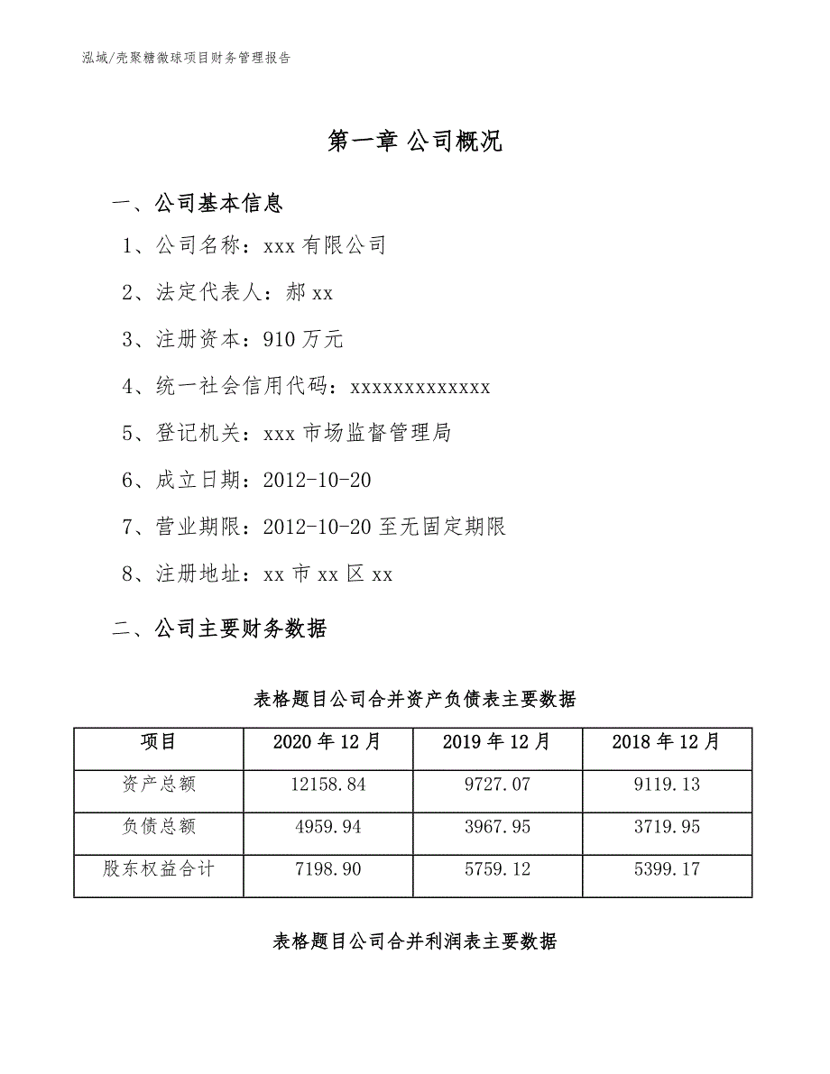 壳聚糖微球项目财务管理报告_第4页