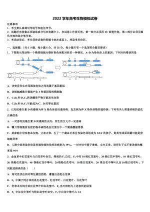 2022届安徽省泗县第一中学高考生物必刷试卷(含解析）