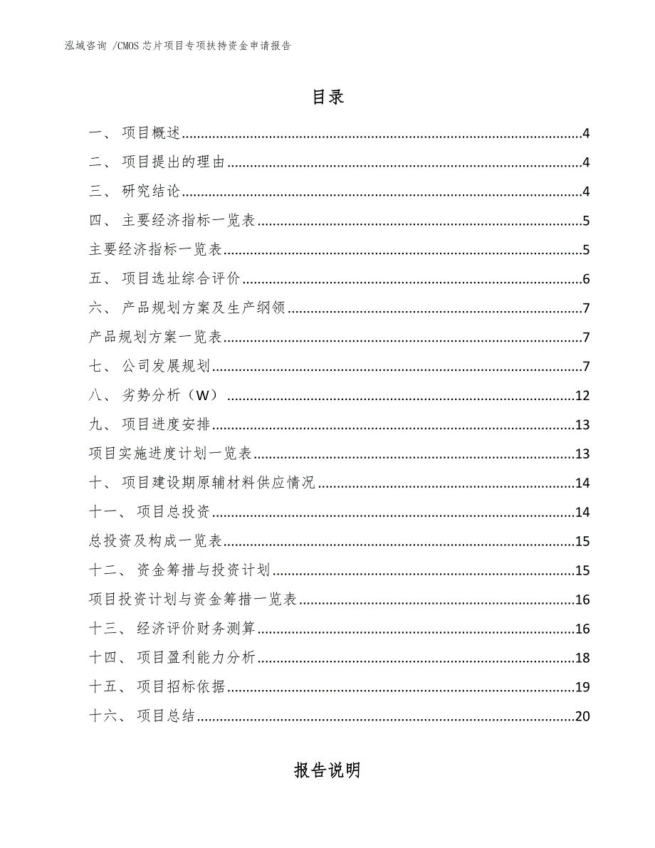 CMOS芯片项目专项扶持资金申请报告_第2页