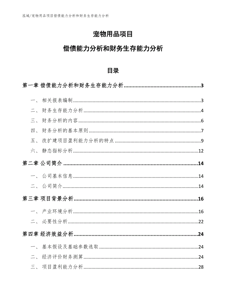 宠物用品项目偿债能力分析和财务生存能力分析_第1页