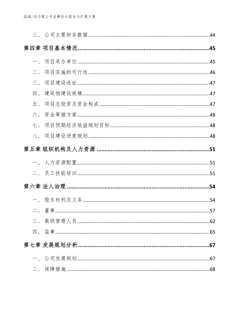 动力煤公司品牌设计组合与扩展方案_第2页