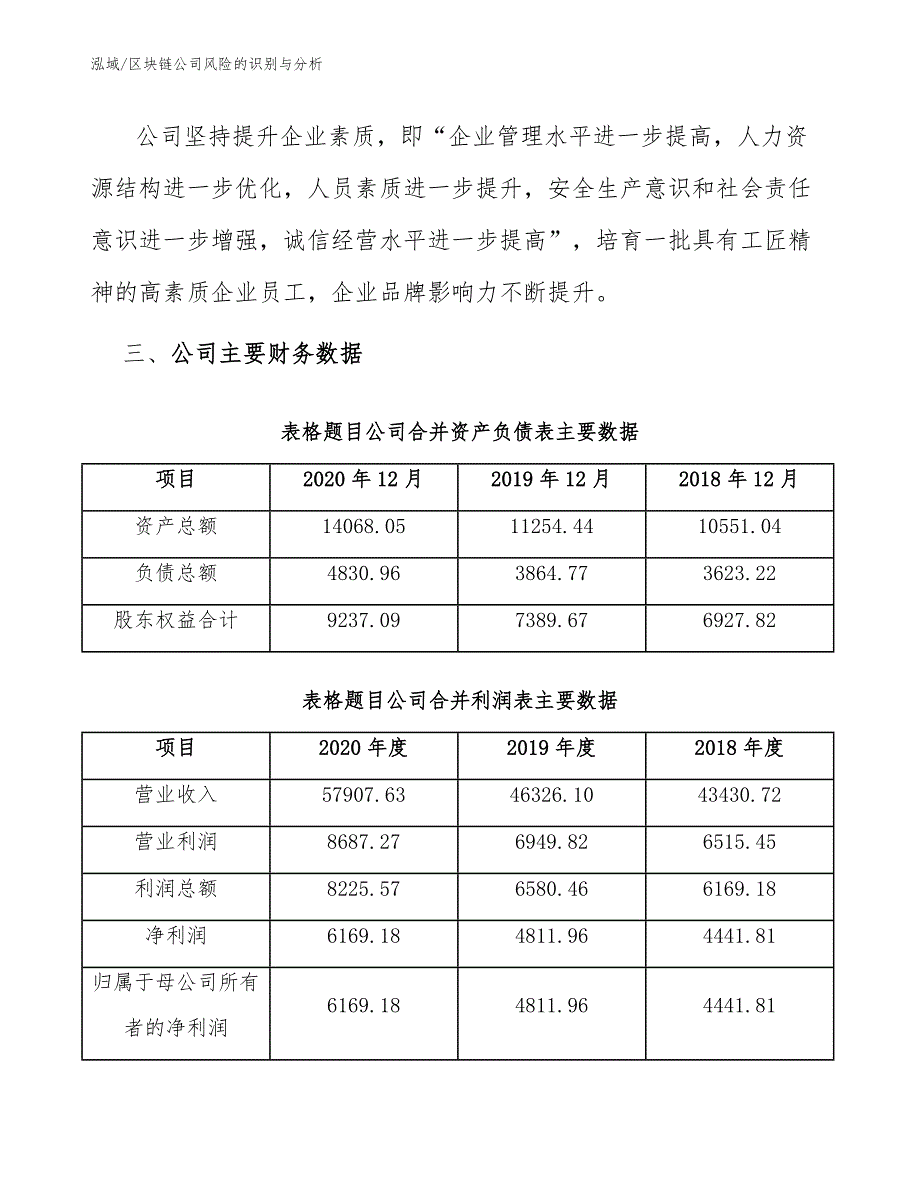 区块链公司风险的识别与分析_第4页