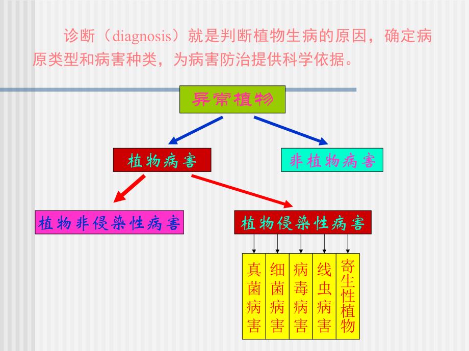 《植物病害的诊断》PPT课件_第3页