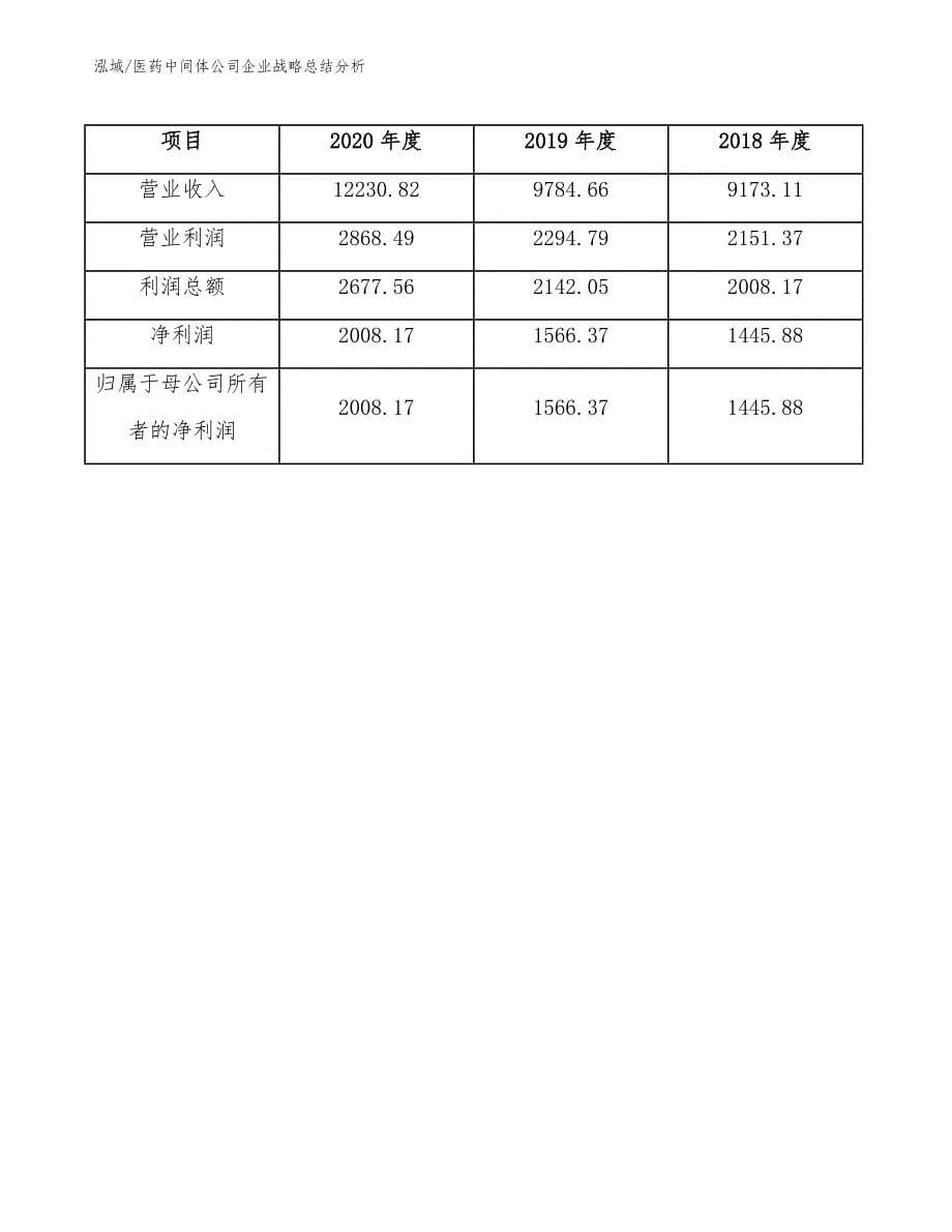 医药中间体公司企业战略总结分析【范文】_第5页