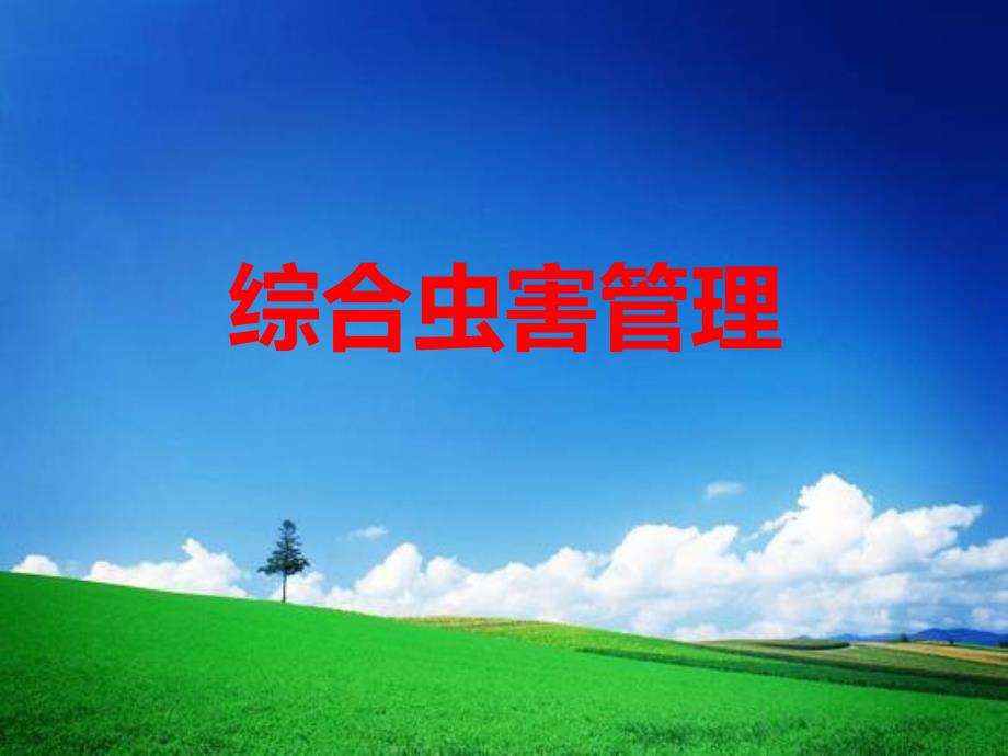 《综合虫害管理》PPT课件_第1页