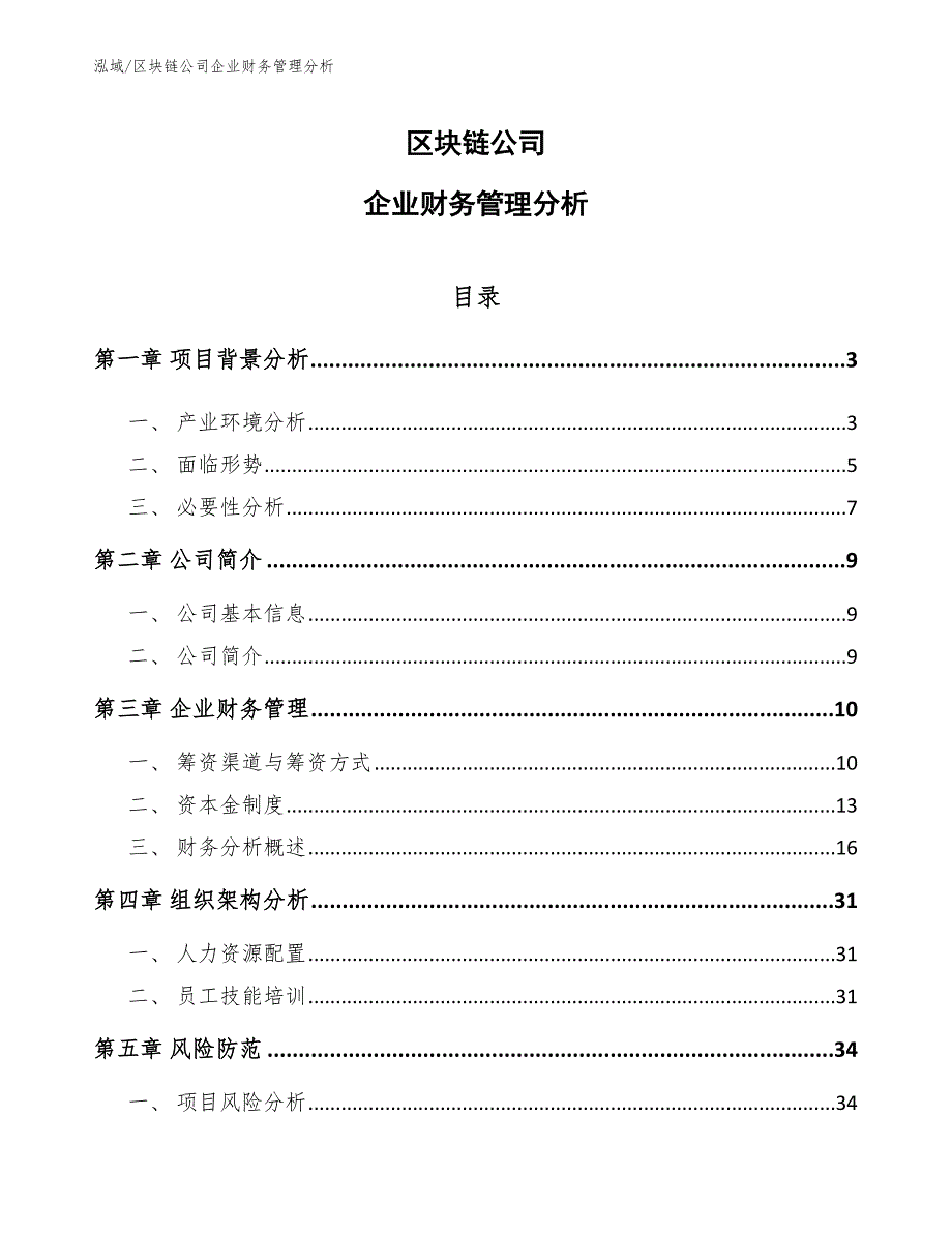 区块链公司企业财务管理分析_第1页