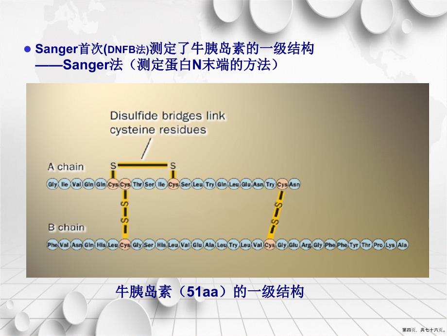 第四讲蛋白质结构解析技术一讲课文档_第4页