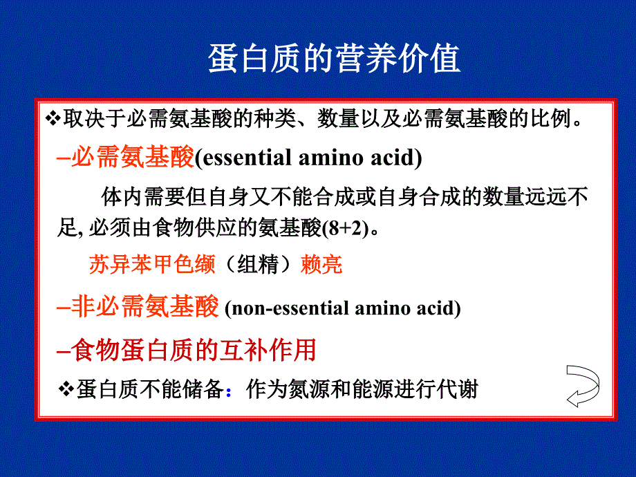 《蛋白质代谢教学》PPT课件_第3页