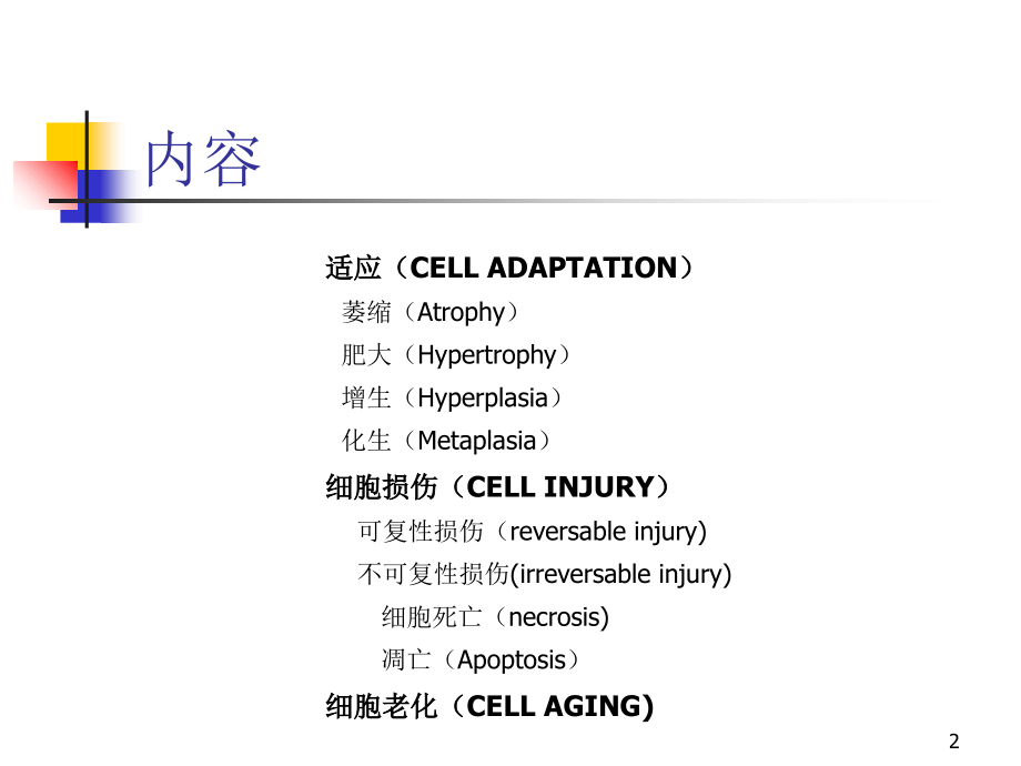 《细胞的损伤与适应》PPT课件_第2页