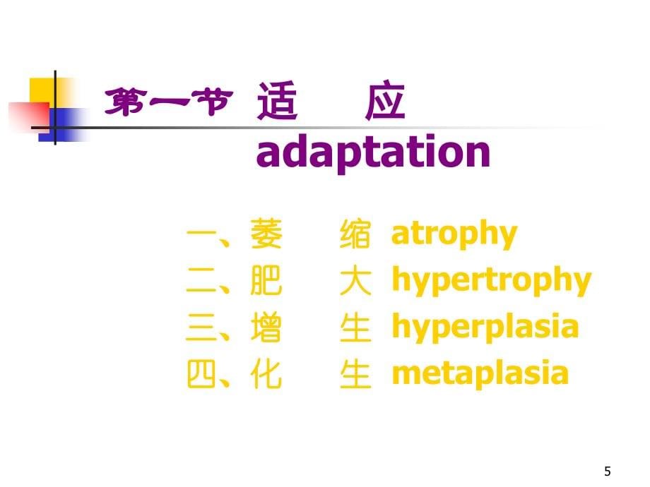 《细胞的损伤与适应》PPT课件_第5页