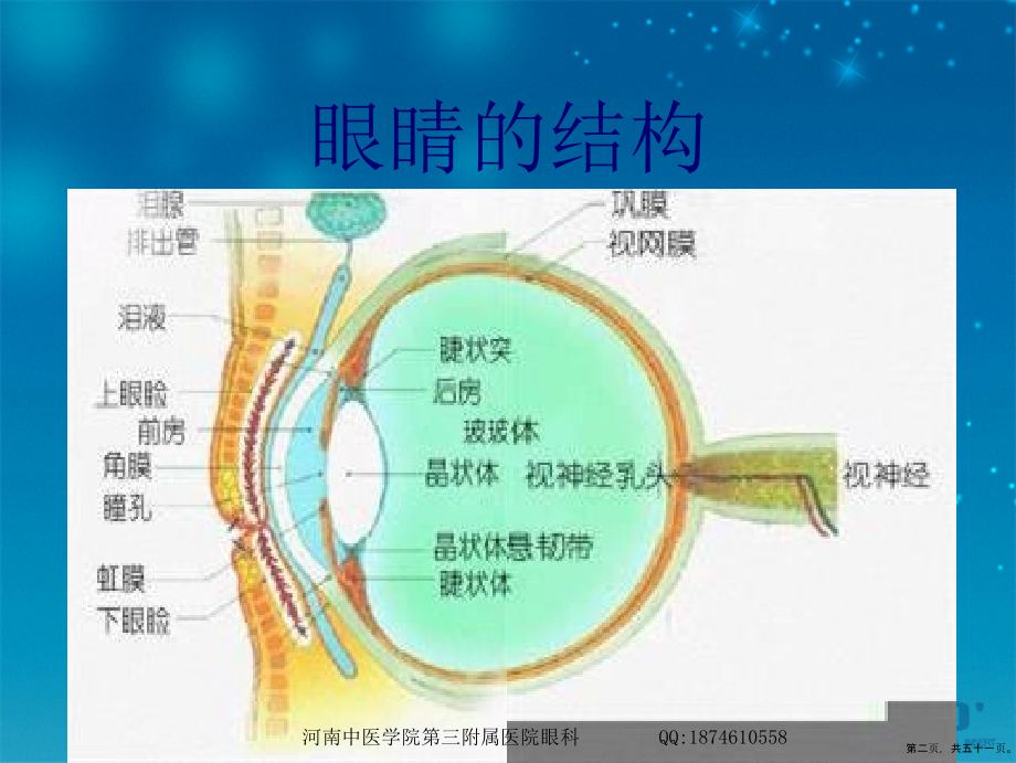 第四章预防近视眼冯磊讲课文档_第2页