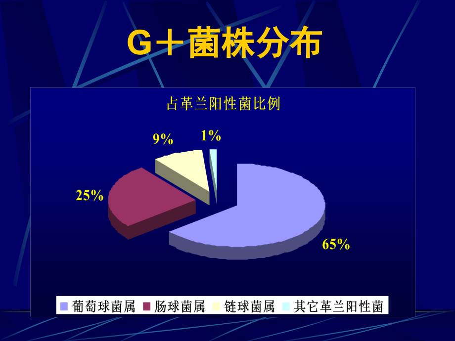 《细菌耐药机制》PPT课件_第4页