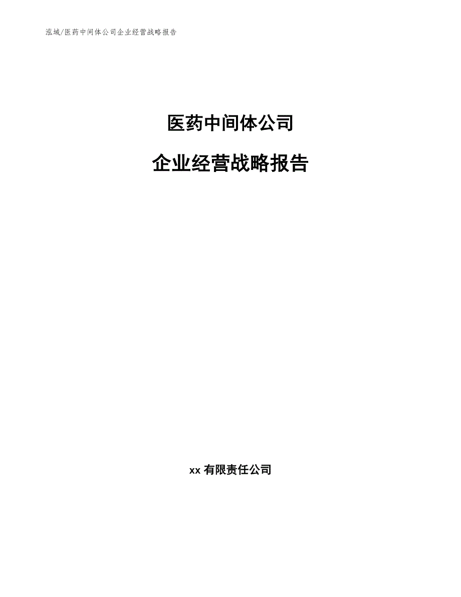 医药中间体公司企业经营战略报告【参考】_第1页