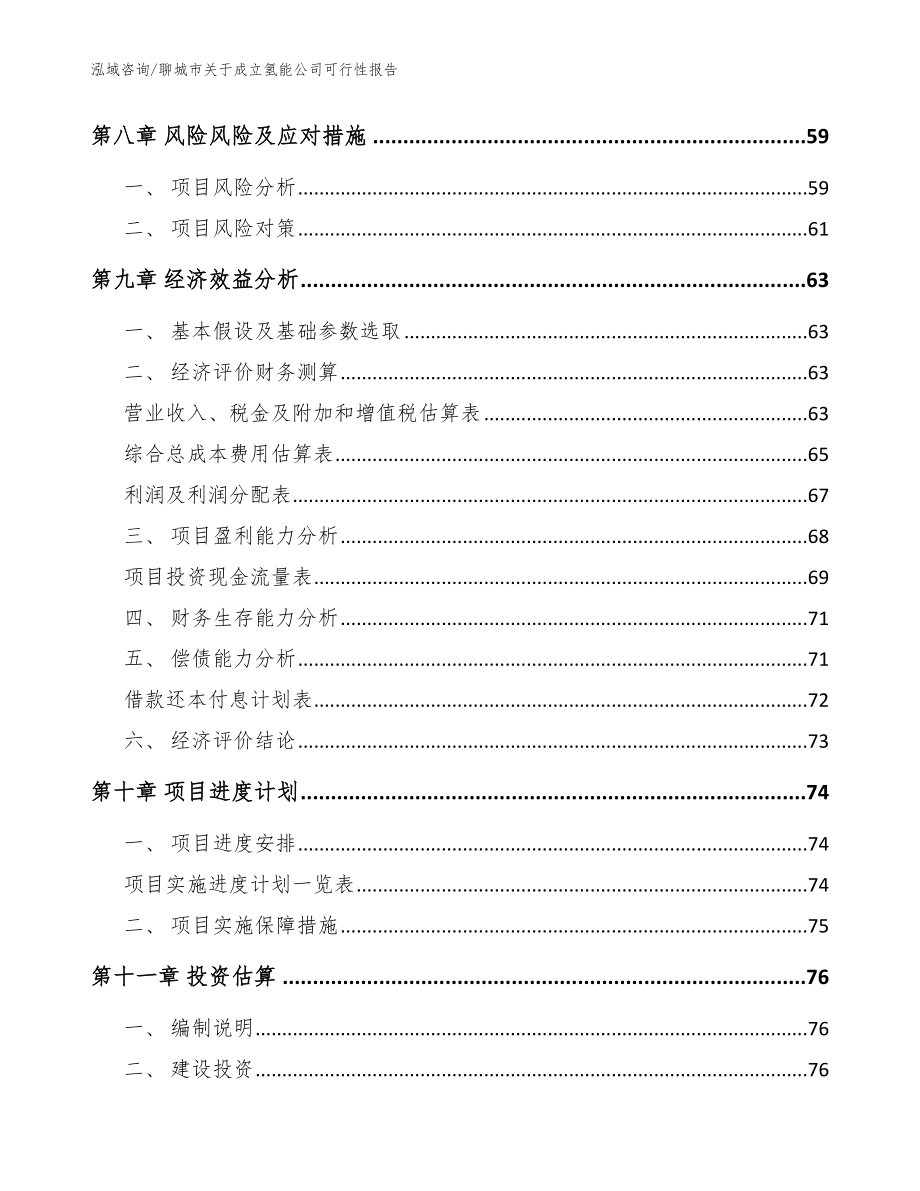 聊城市关于成立氢能公司可行性报告_范文_第4页