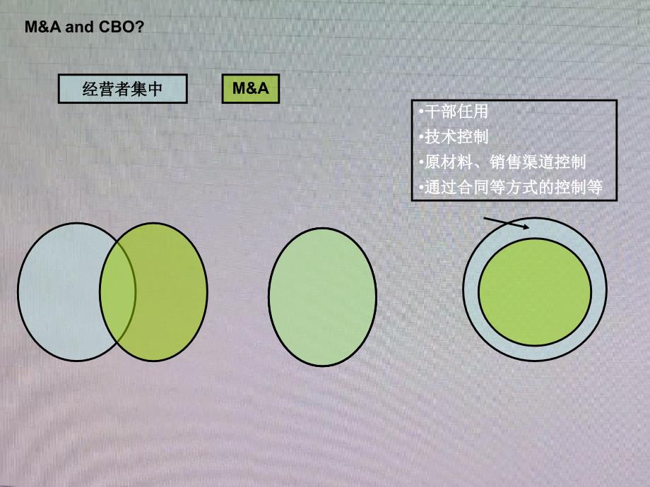 经济法经营者集中_第2页