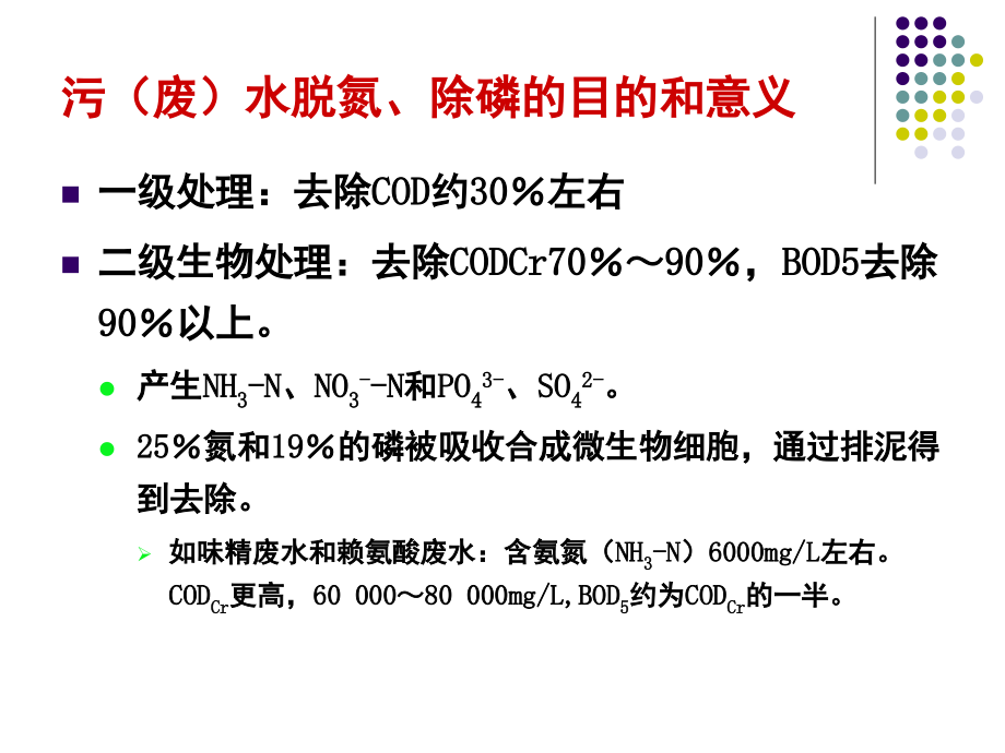 废水生物脱氮除磷工艺-(上课用)_第3页