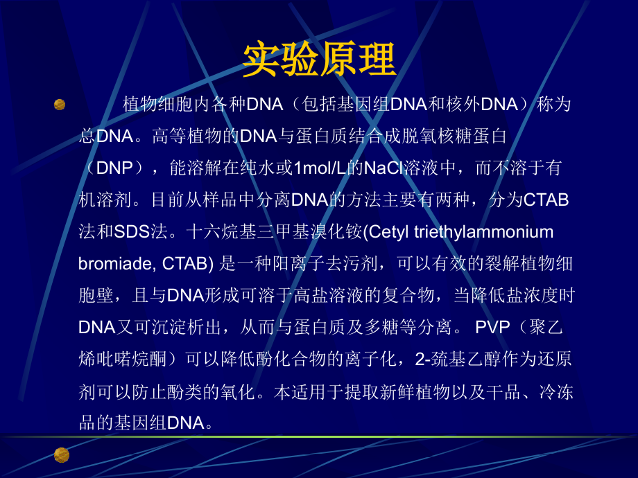 实验十高等植物总DNA的提取和纯化_第3页