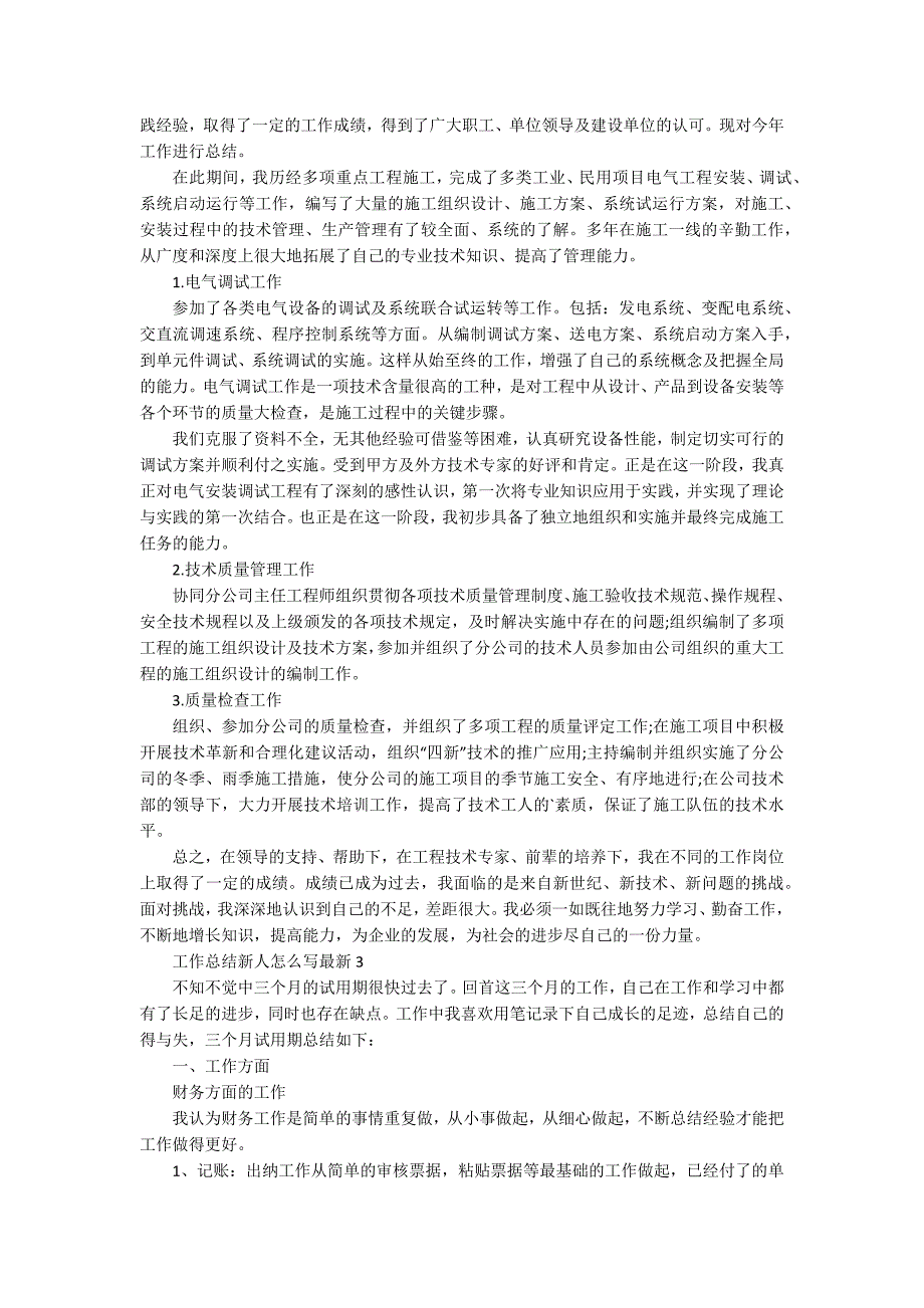 工作总结新人怎么写_第2页