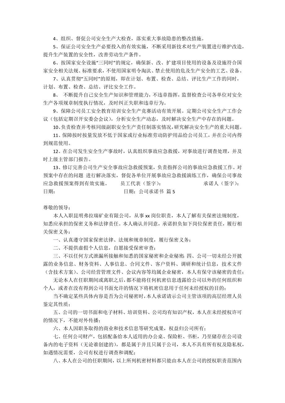 关于公司承诺书范文汇总9篇_第3页