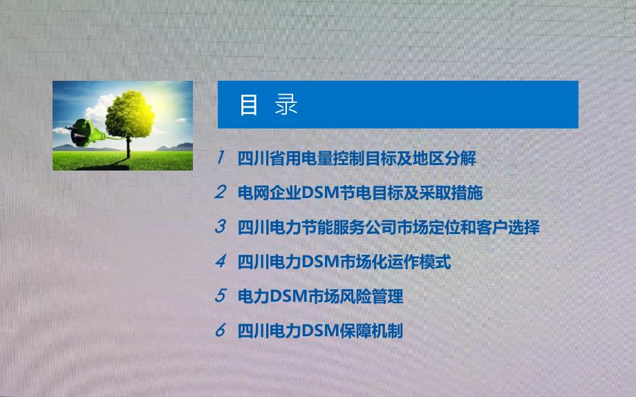 电力DSM市场调查报告PPT模板_第4页