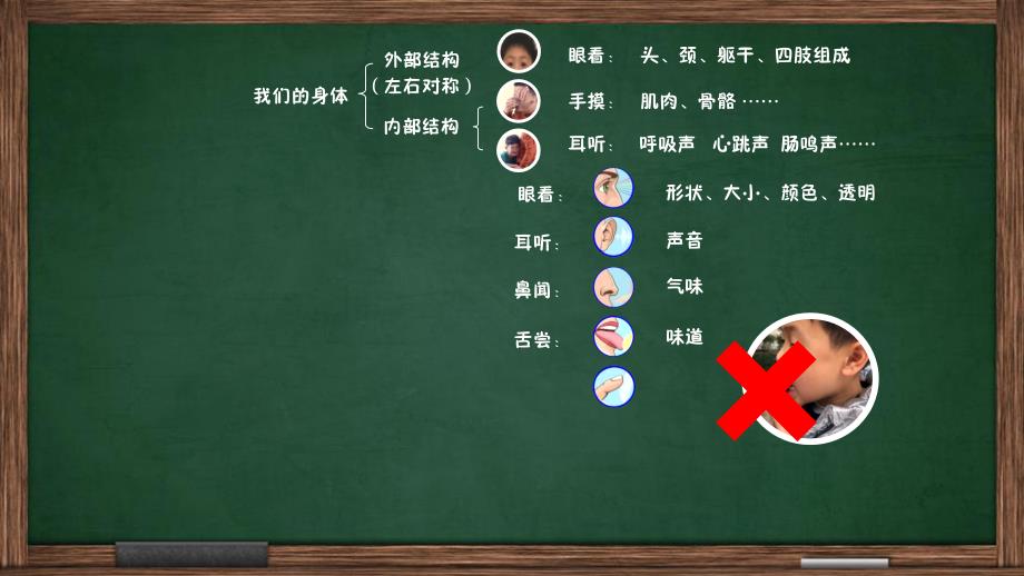 教科版小学科学二年级下册2《我们自己》单元思维导图_第3页