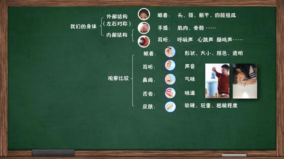 教科版小学科学二年级下册2《我们自己》单元思维导图_第5页