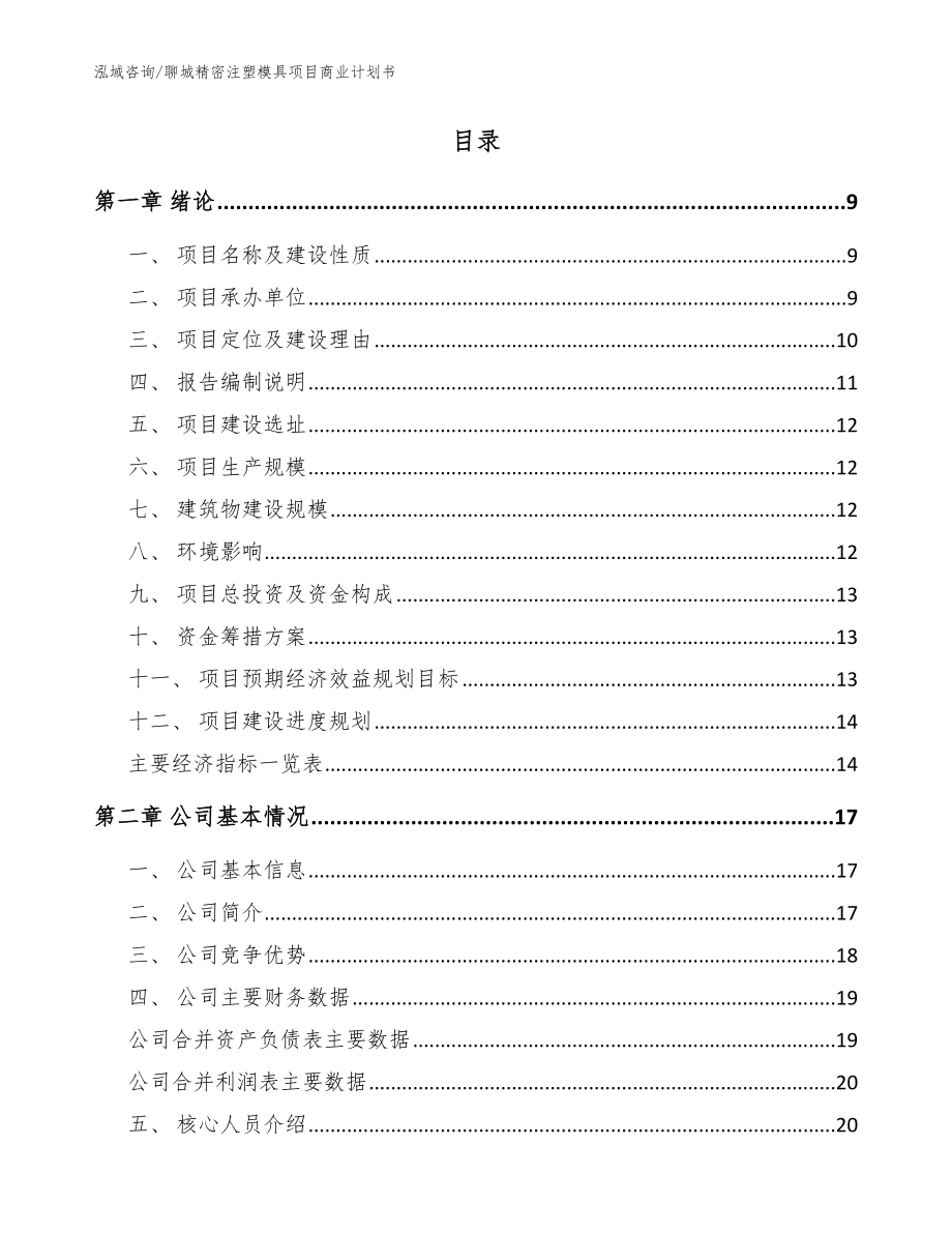 聊城精密注塑模具项目商业计划书_模板范本_第2页