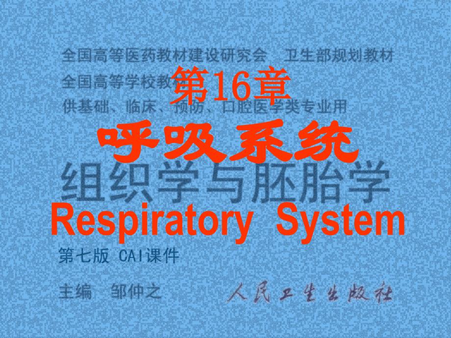 呼吸系统(带解剖图和切片图)_第1页
