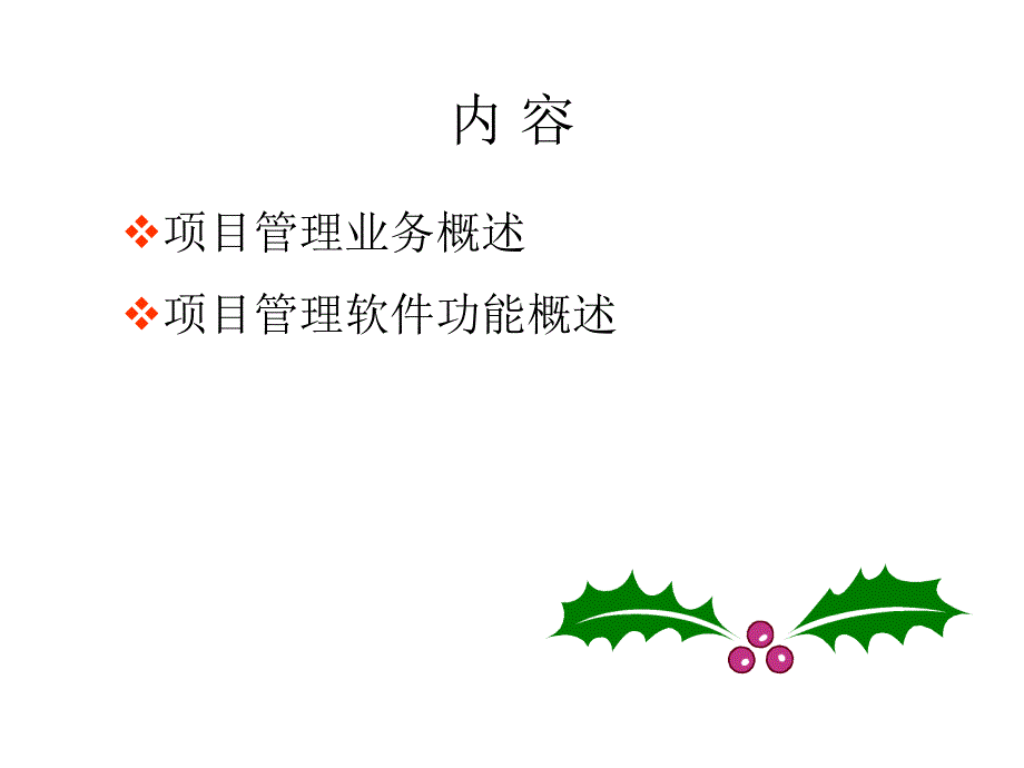 《项目管理补充》PPT课件_第2页