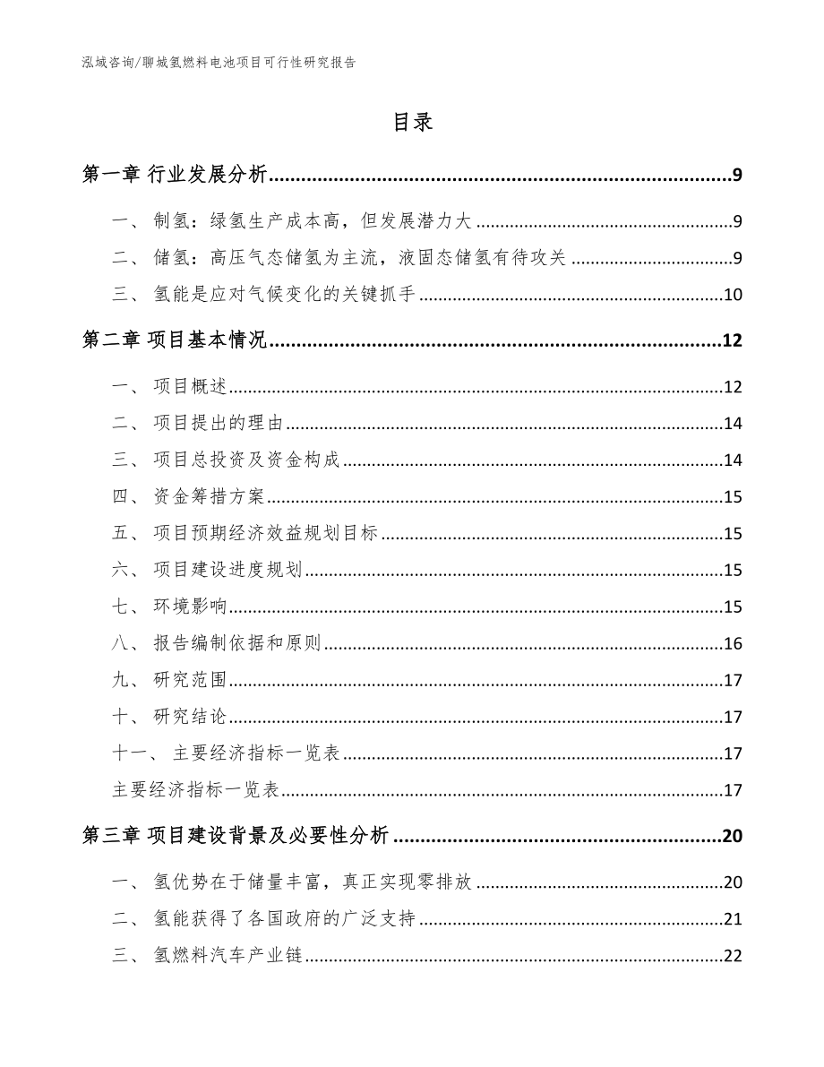 聊城氢燃料电池项目可行性研究报告参考模板_第2页