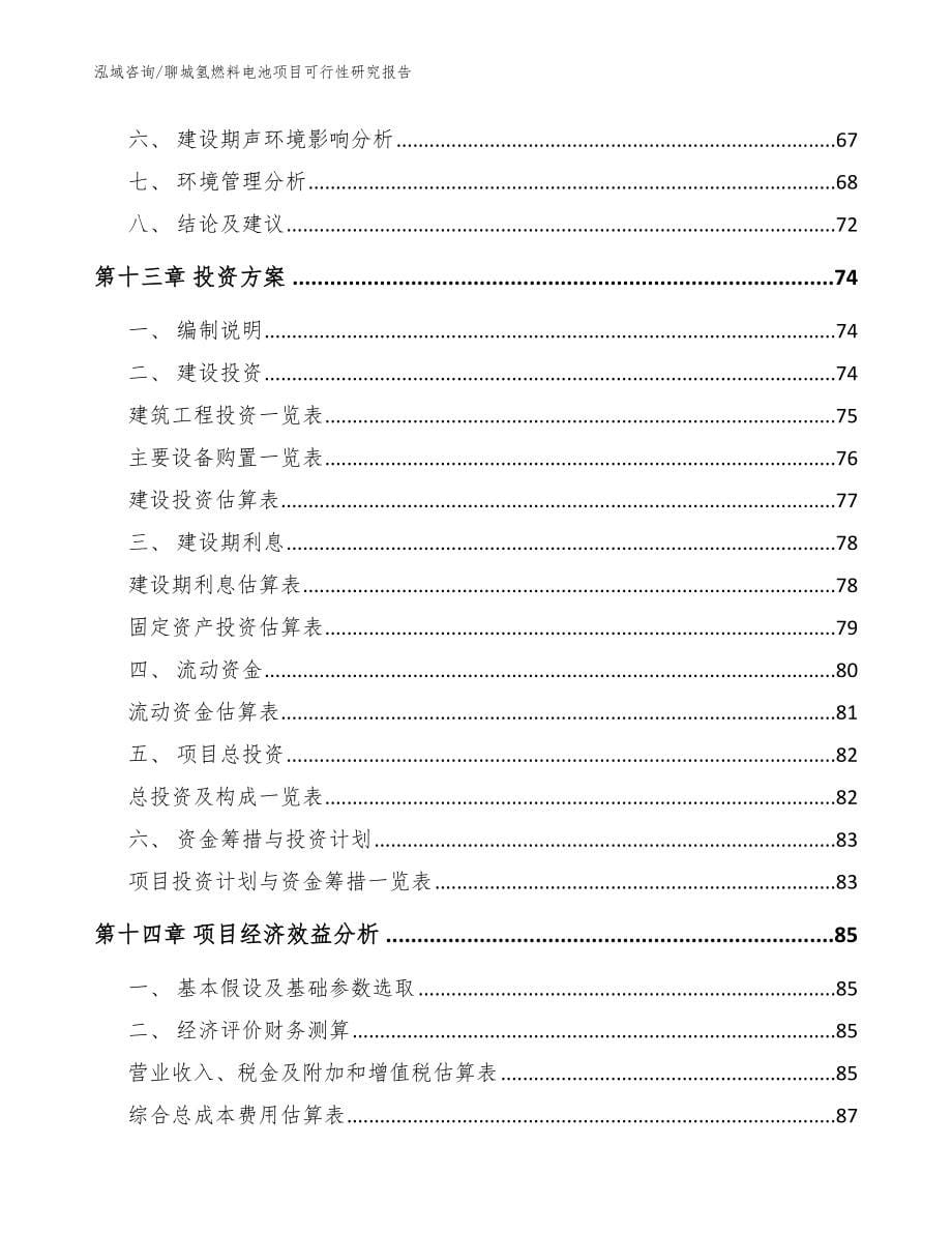 聊城氢燃料电池项目可行性研究报告参考模板_第5页