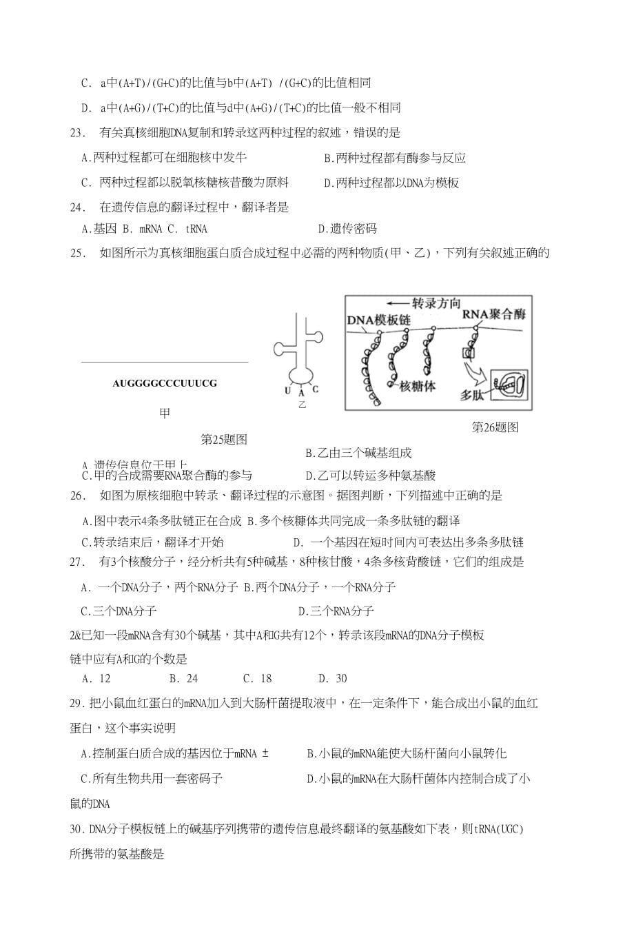 浙江省台州市路桥区高中生物遗传的分子基础专项练习（无答案）浙科版_第5页