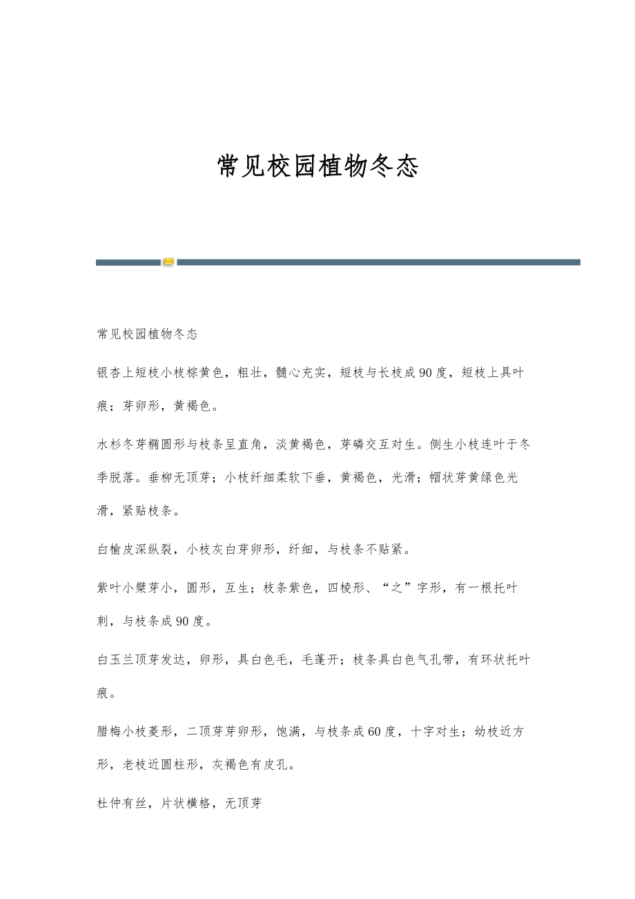 常见校园植物冬态_第1页