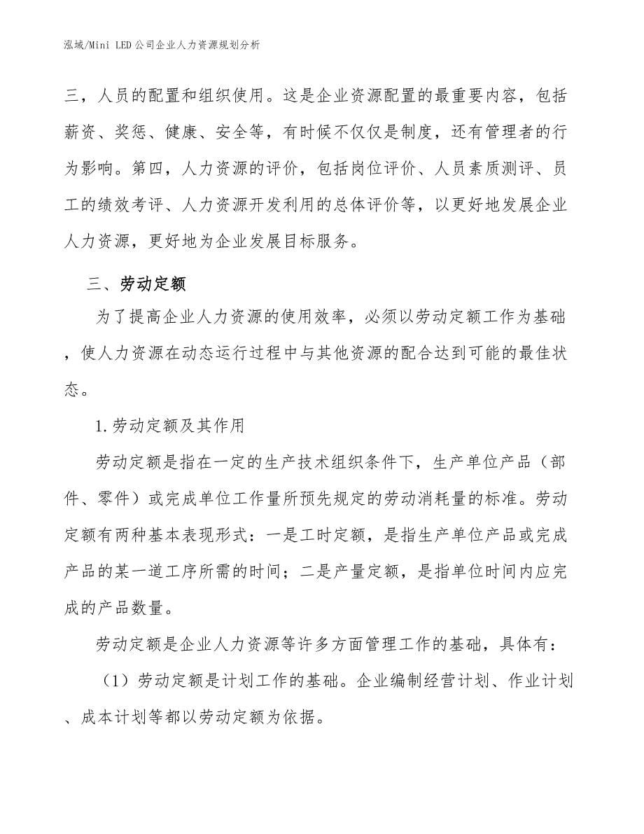 Mini LED公司企业人力资源规划分析【范文】_第5页