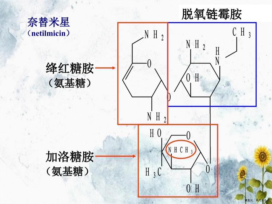 抗生素类药物的分析-讲课文档_第5页