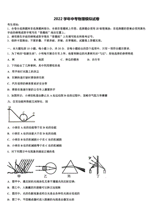 2022届北京市海淀区101中学中考物理模拟预测试卷（含答案解析)
